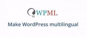 WPML All Import Plugin