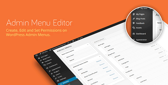 Branding Add On For Admin Menu Editor Pro