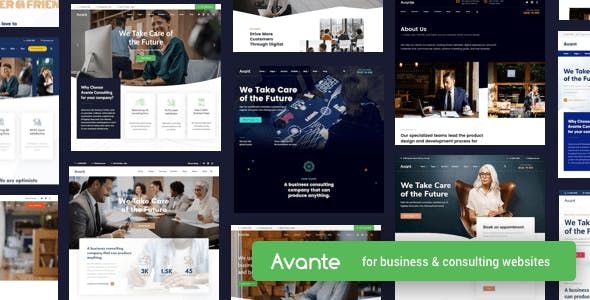 Avante Business Consulting Theme