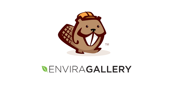 Envira Gallery Beaver Builder Addon