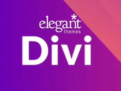 Divi Original Lifetime License